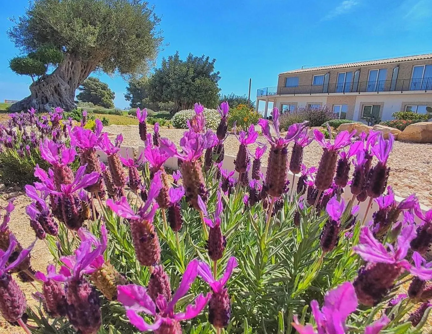 Penzion Carrua Marzamemi Itálie