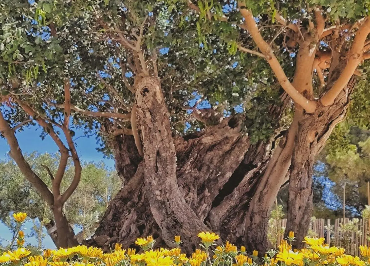 Penzion Carrua Marzamemi